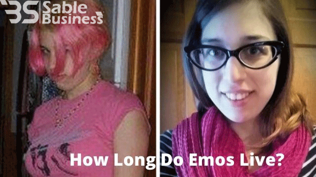 how long do emo live